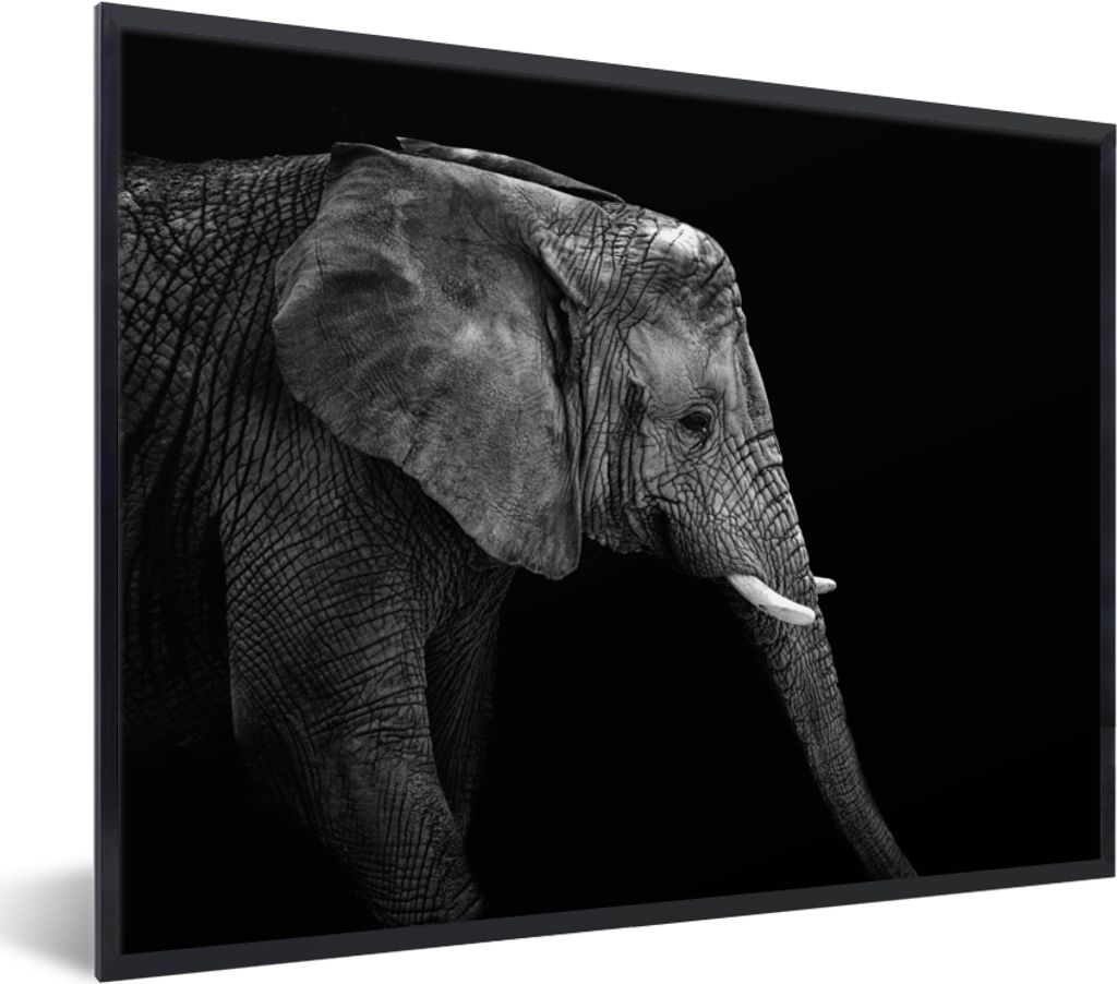 MuchoWow Gerahmtes Poster Elefant - Schwarz und weiß - Porträt - Tiere 40x30 cm - Poster mit Schwarzem Bilderrahmen Wandposter Rahmen Foto Bild...