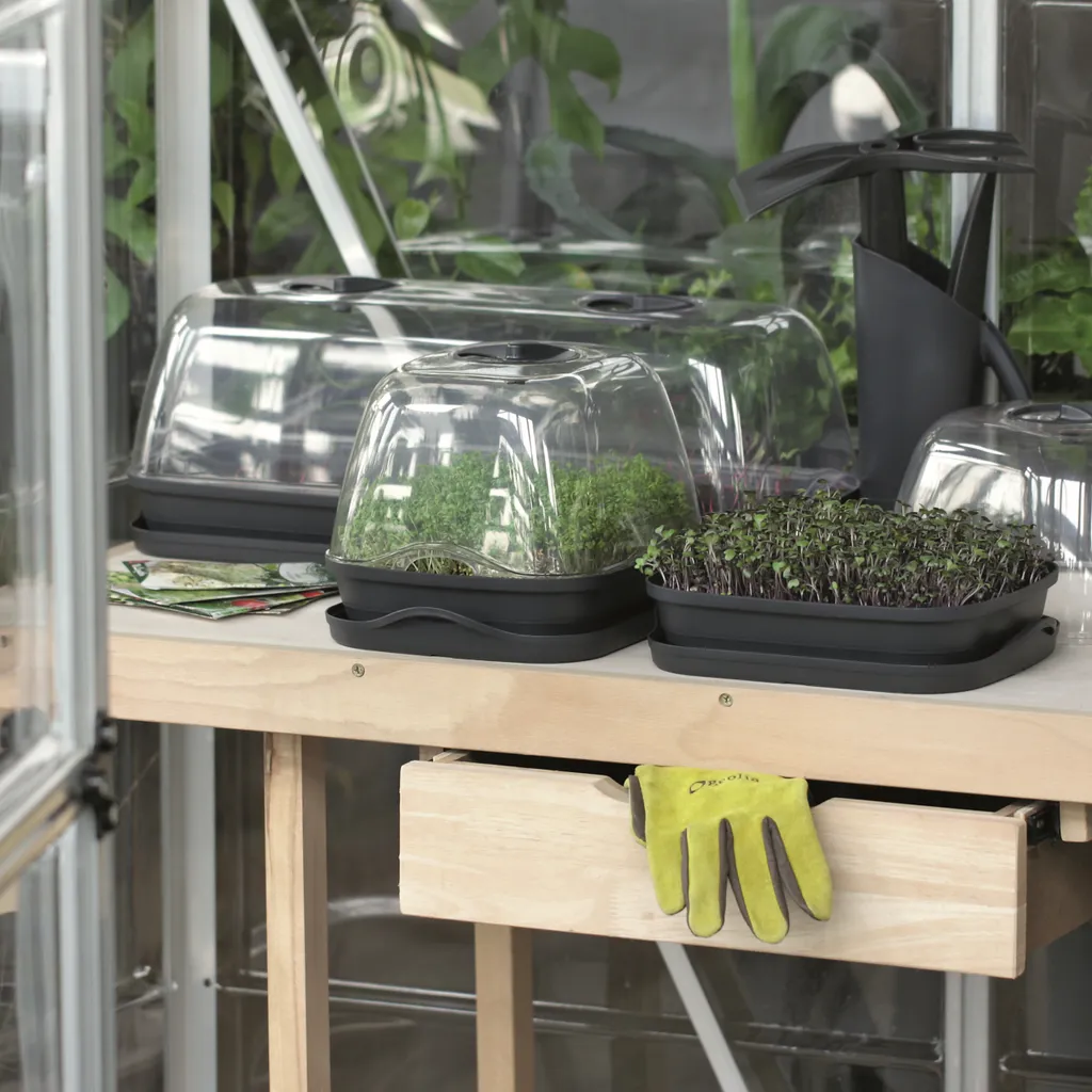 Mini serre rectangulaire 51,5cm ventilée pour semis de plants potagers