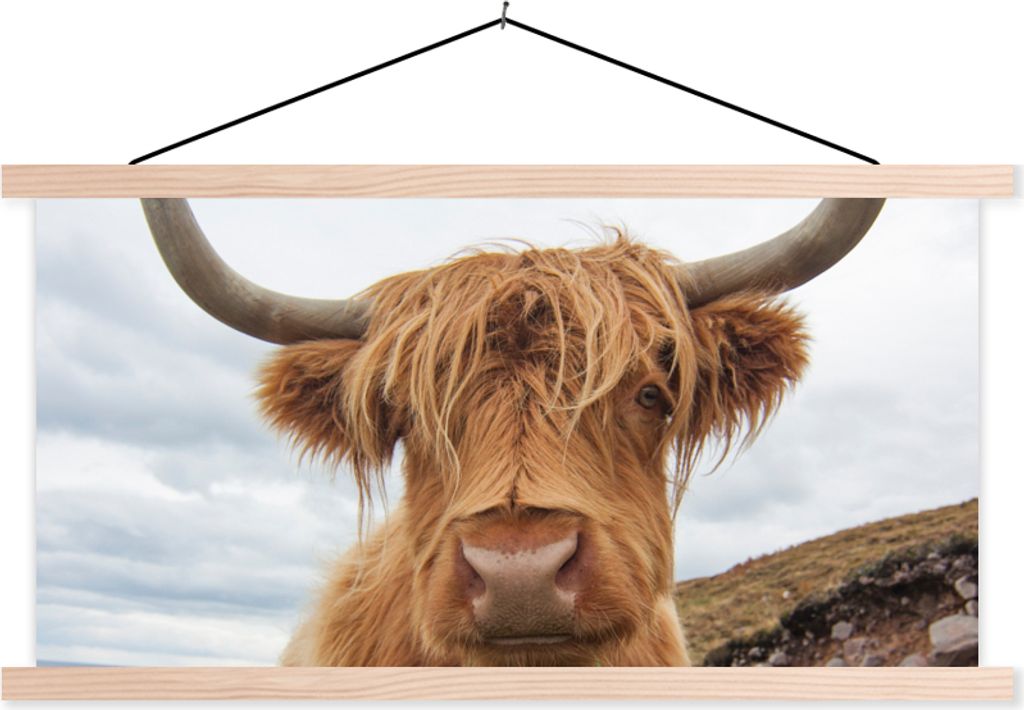 MuchoWow Textilposter Schottisches Hochlandrind - Kuh - Landschaft 150x75 cm mit holzfarbenen Rahmen - Plakate