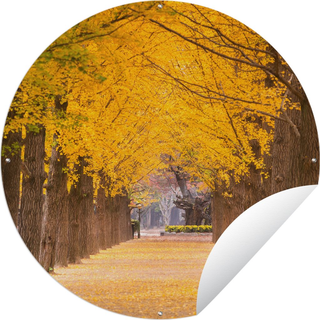 MuchoWow Gartenposter Outdoor-Poster Rund Gelbe Bäume in Südkorea Ø 90 cm Gartendeko Rundes Poster draußen