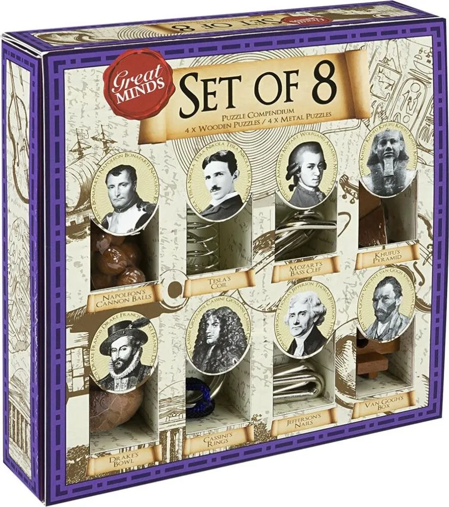 Jeu de Casse-Tête de Logique en Bois et Métal pour Soirée en Famille