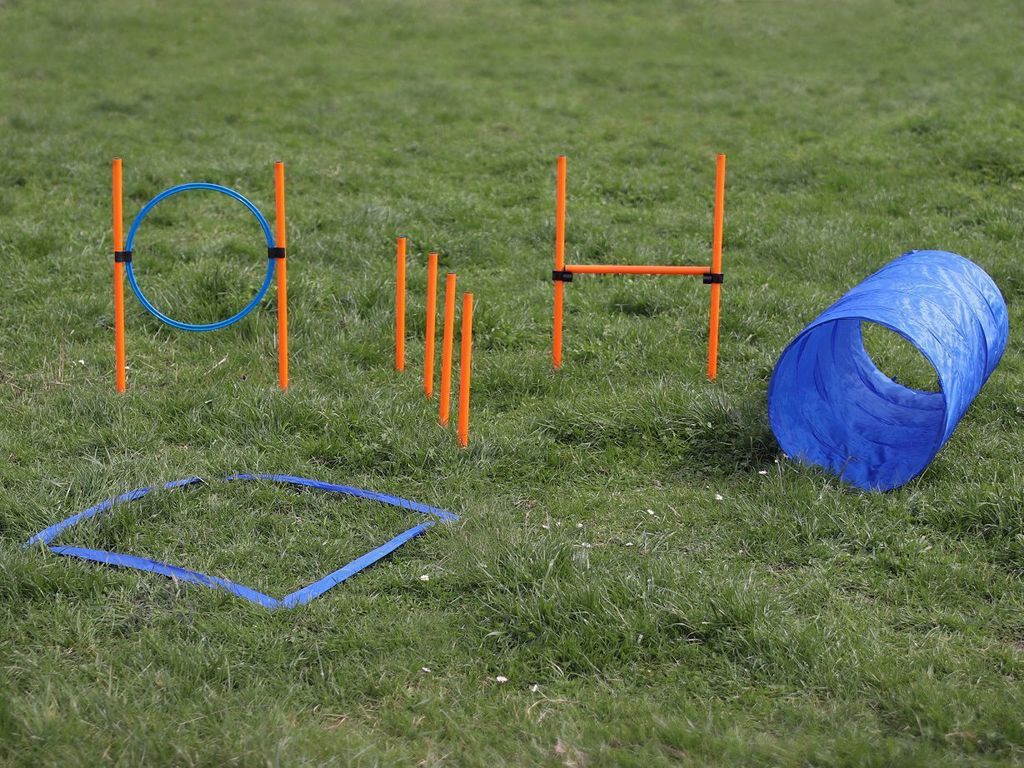 Agility Set für kleine und mittelgroße Hunde, Hundesport Produktbild 4