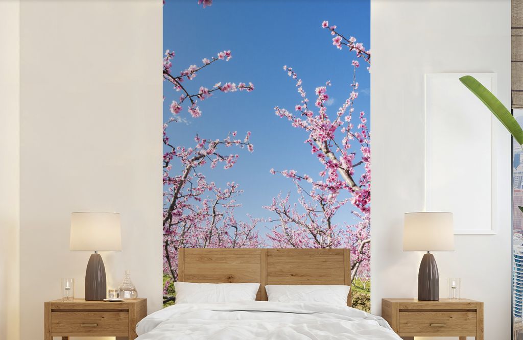 MuchoWow Fototapete für Wohnzimmer oder Schlafzimmer Wandtapete Vinyl Motivtapete Obstbäume - Kirsche - Blüte - 120x240 cm - Hintergrundbild