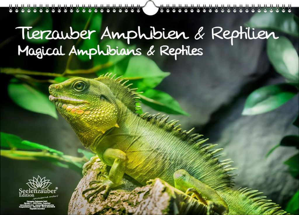 Tierzauber Amphibien und Reptilien DIN A3 Immerwährender Kalender - Seelenzauber