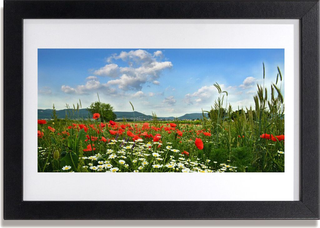 Bild 30x20 MDF-Rahmen Wandkunst Wiese Blumen Natur Pflanze