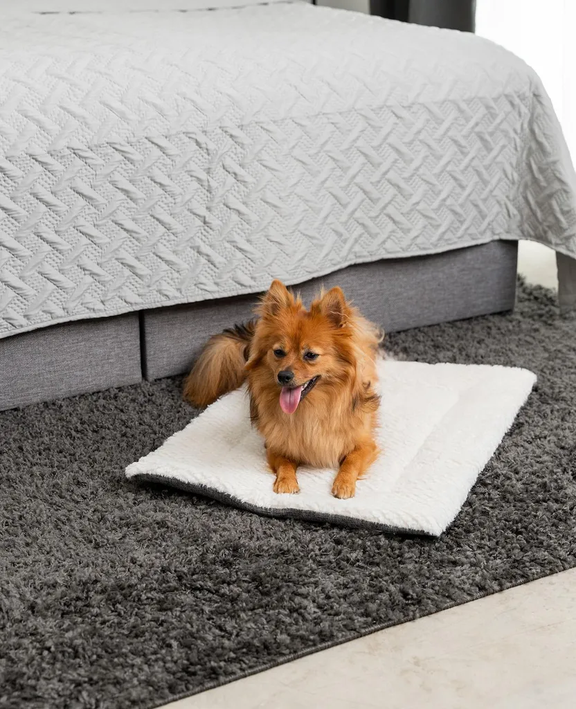 Protection de canapé pour chien et chat couverture moelleuse lavable - 2