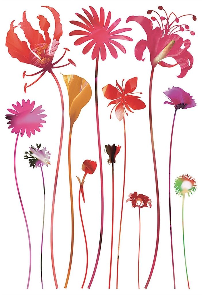 Sticker Mehrfarbige Blumen - 1 Bogen 42,5 x 65 cm