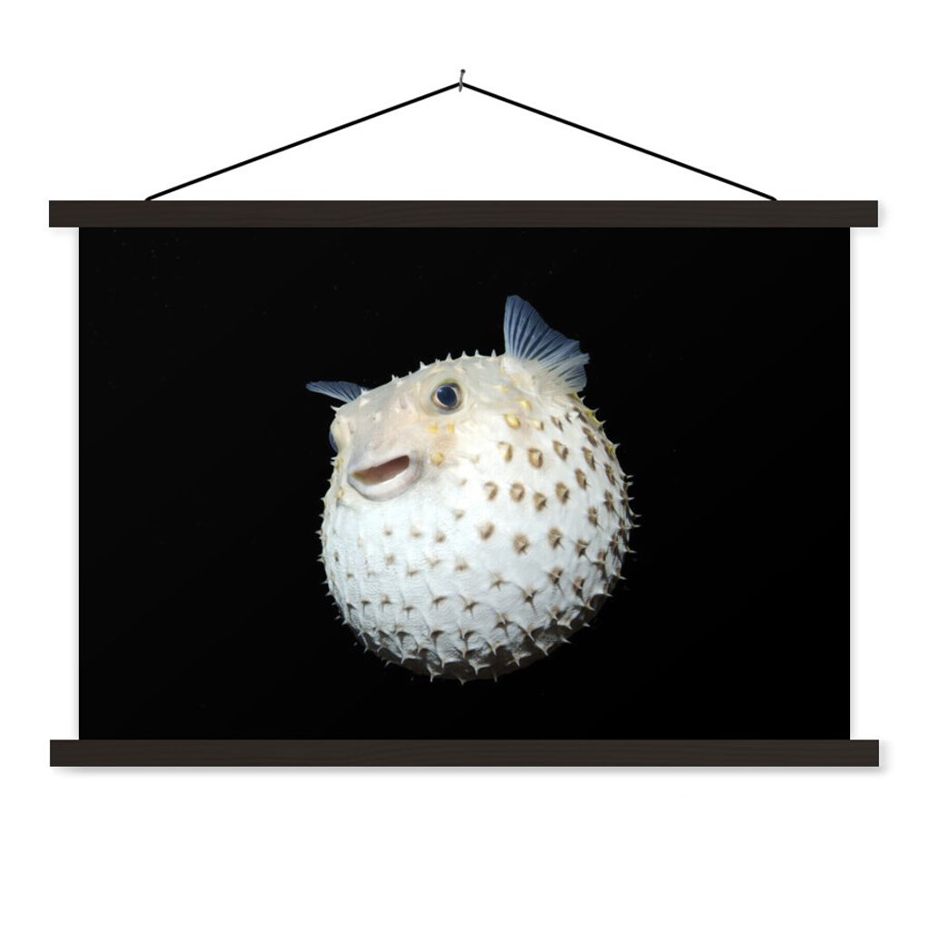 MuchoWow Textilposter Fische - Meerestiere - Porträt 150x100 cm mit schwarzem Rahmen - Schlafzimmer