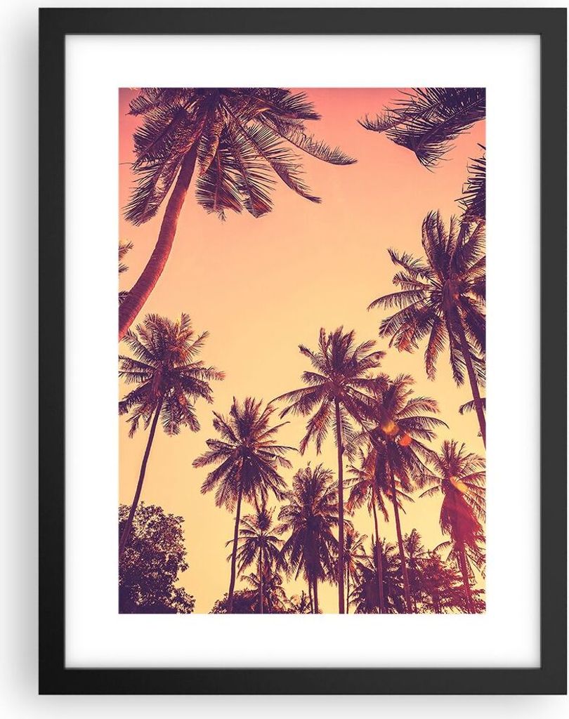 Gerahmtes Poster - Schwarzer Rahmen - Palmen Himmel Sonne - 30x40 cm - Wand Bild - Wanddeko - Wandbilder - Kunstposter - Wandposter - Bilderrahmen ...