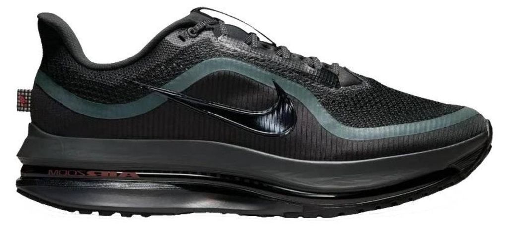 Nike Schuhe Pegasus Premium, HQ2592011