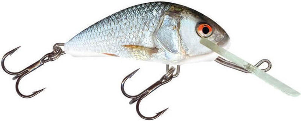 Salmo Hornet Wobbler , Salmo Farben:Real Dace, Länge/Gewicht/Laufverhalten/Tauchtiefe:5cm / 7g / schwimmend / 2.0-4.6m