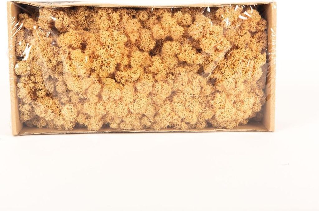 INNA-Glas Dekoratives Moos SVEINBJÖRN, pfirsich, 500g - Echtes Isländisches Moos
