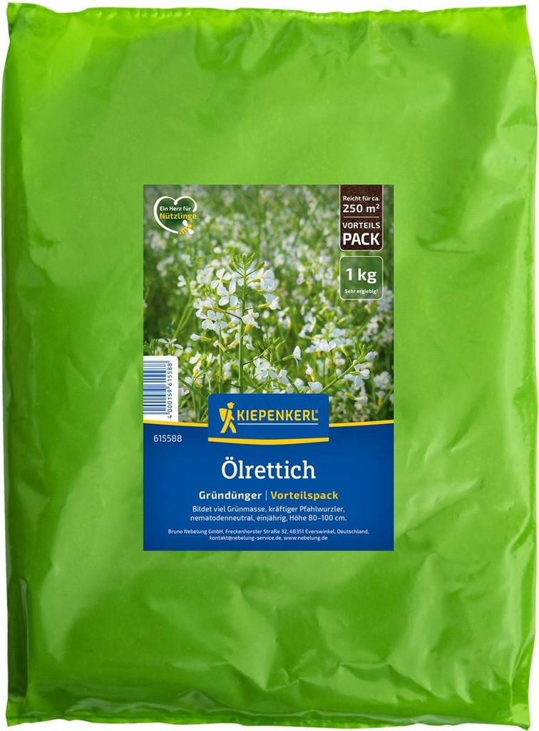 Kiepenkerl Gründüngung Ölrettich Raphanus sativus var. Produktbild 