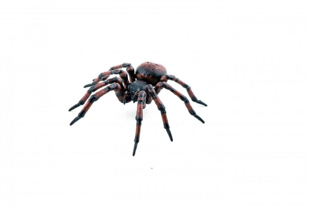 Figurine D'araignée Image du produit 