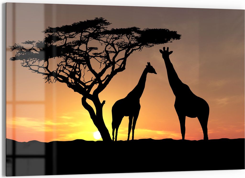 DEQORI Glasbild Echtglas 90x60 cm 'Afrikanische Eleganz' Wandbild Bild modern Deko