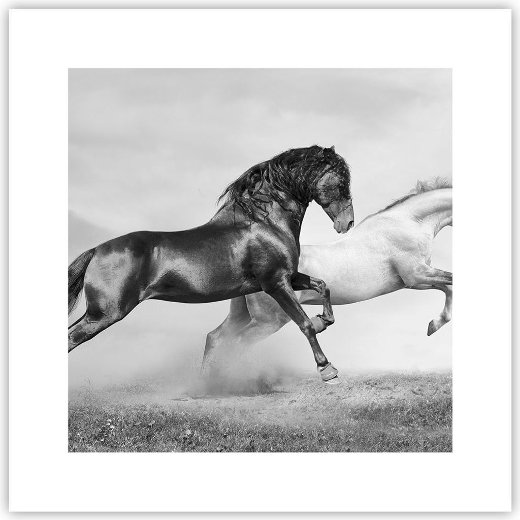Poster - Poster ohne Rahmen - Pferde Tiere Galopp Wiese - 30x30 cm - Wand Bild - Wanddeko - Wandbilder - Kunstposter - Wandposter - Bilder - Kunstd...
