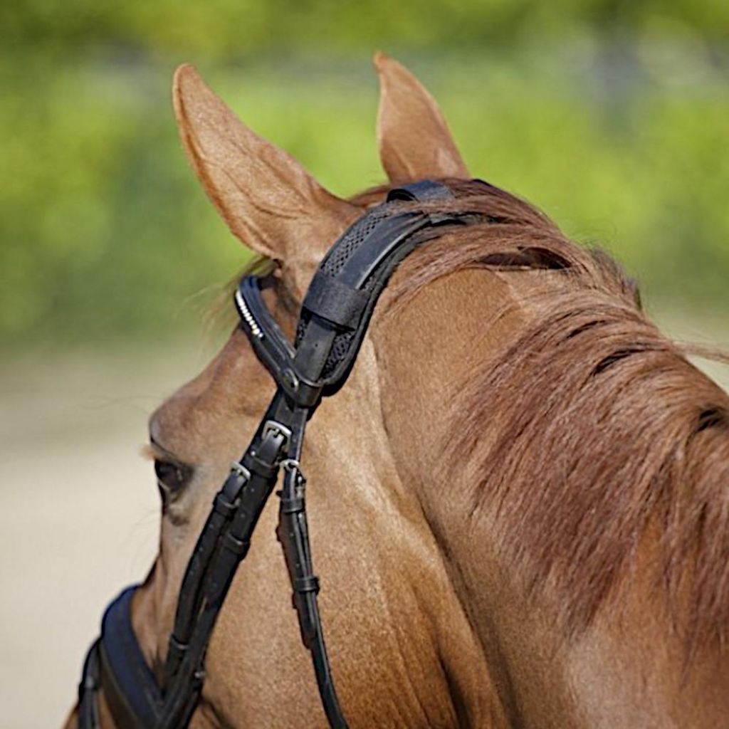 Back on Track Genickschoner - 4 Klettbänder - schwarz, Größe:One Size