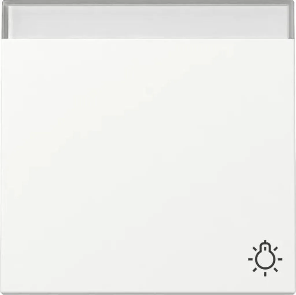 Plaque de recouvrement interrupteur blanc mat 367327 pour rénovation