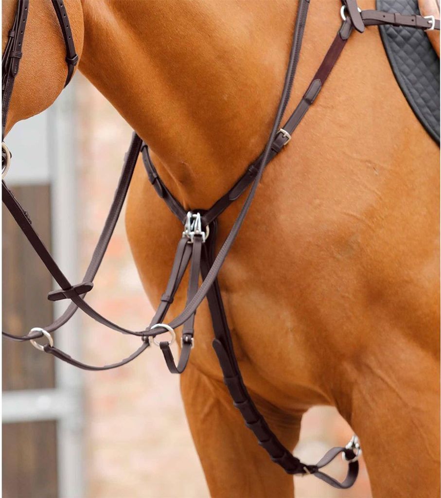 Premier Equine Valbrona Performance Brustpanzer Braun Cob Braun Cob