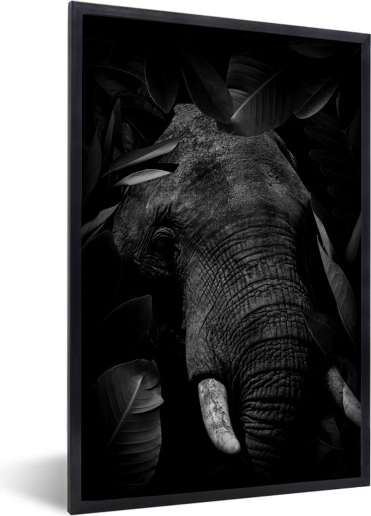 MuchoWow Gerahmtes Poster Botanischer Elefant mit Blättern auf schwarzem Hintergrund - schwarz und weiß 60x90 cm - Poster mit Schwarzem Bilderr...
