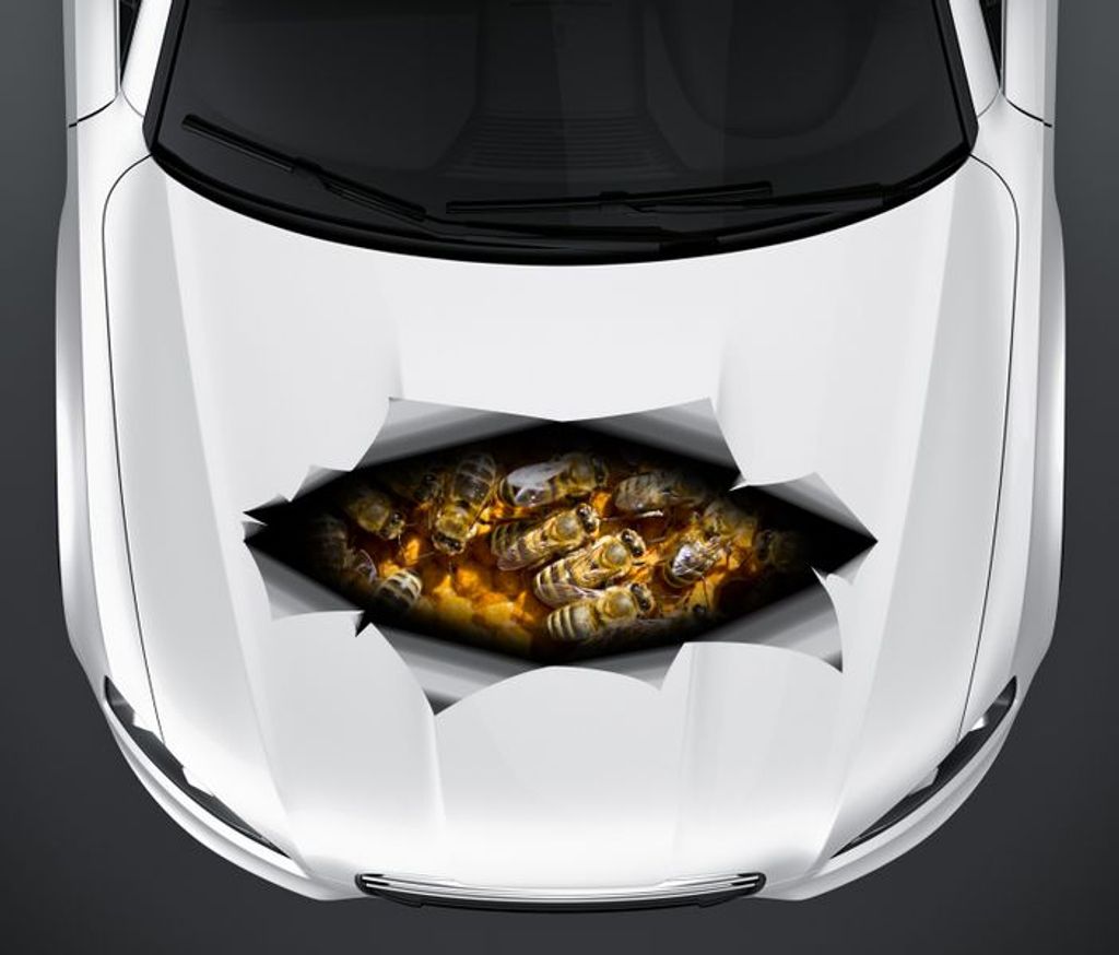 Motorhaube Aufkleber 3d