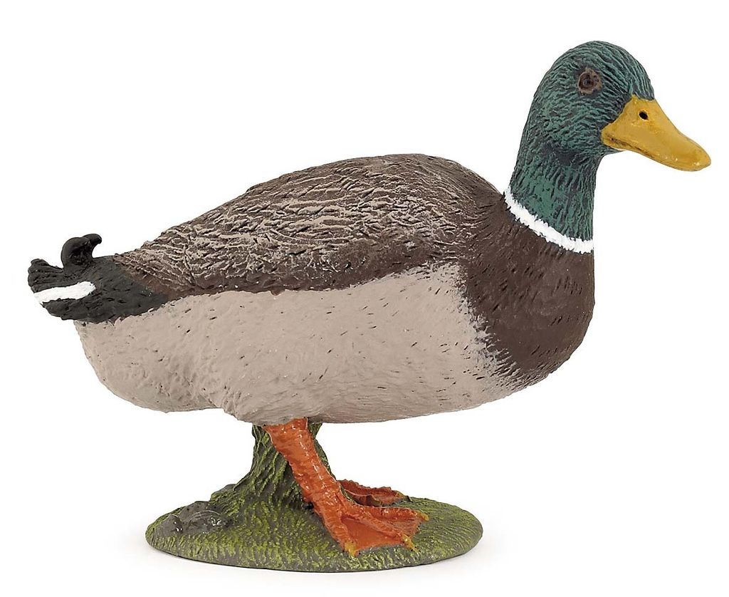Papo Stockente, 3 Jahr(e), Farmyard friends, Mehrfarbig, PVC