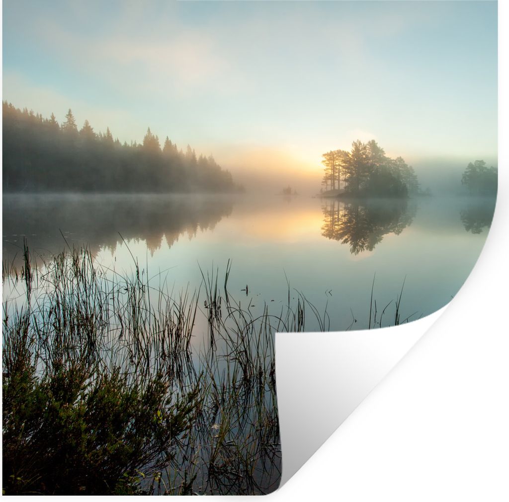 MuchoWow Wandtattoo Wandsticker Wandaufkleber Ruhiger Morgen im Wald von Norwegen 30x30 cm Selbstklebend und Repositionierbar - Repositionierbar ...