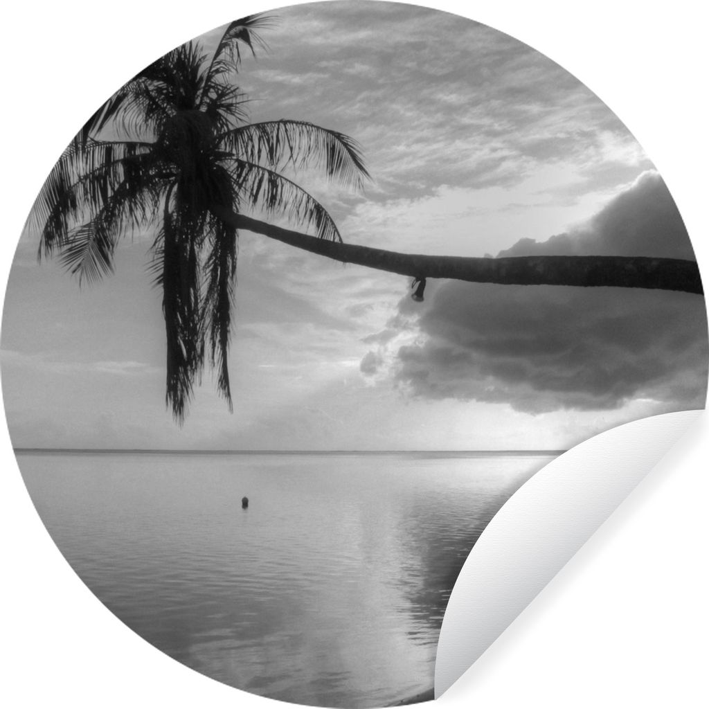 MuchoWow Runde Wandtattoo - Wandsticker Tapete Aufkleber Überhängende Palme am Strand von Mo'orea in schwarz-weiß Ø 100 cm Selbstklebend und ...
