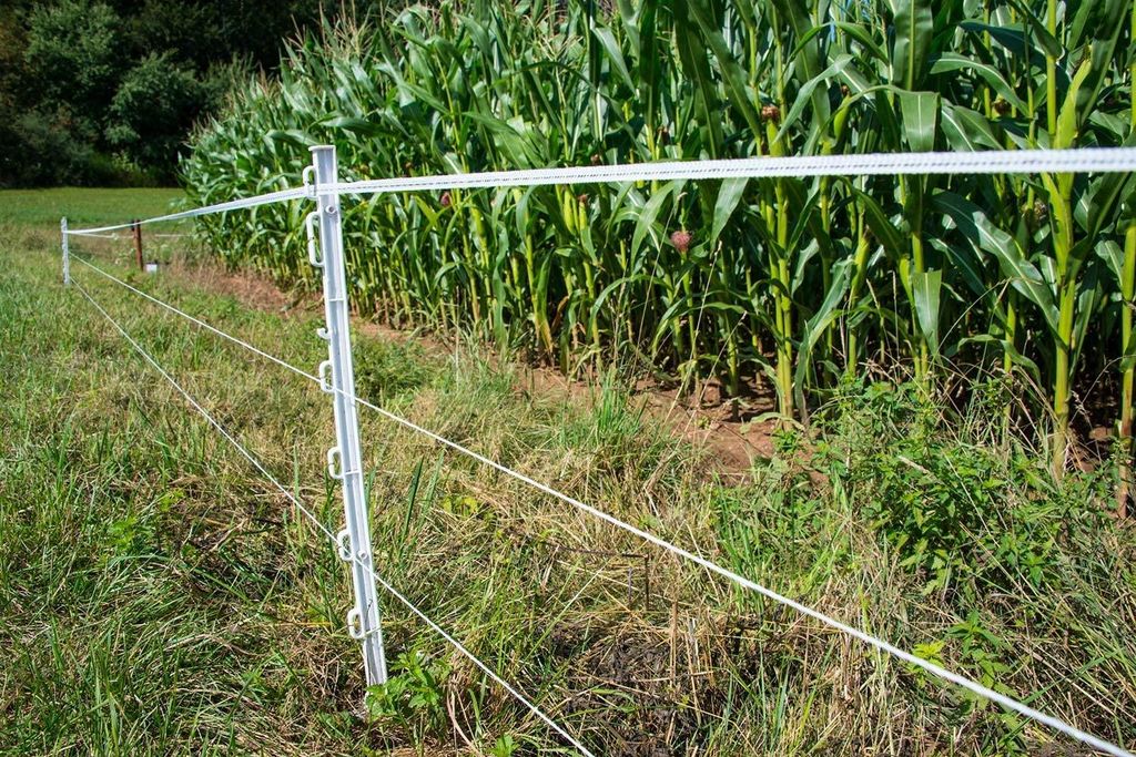 horizont Kunststoffpfahl mit Metallspitze – Produktbild 