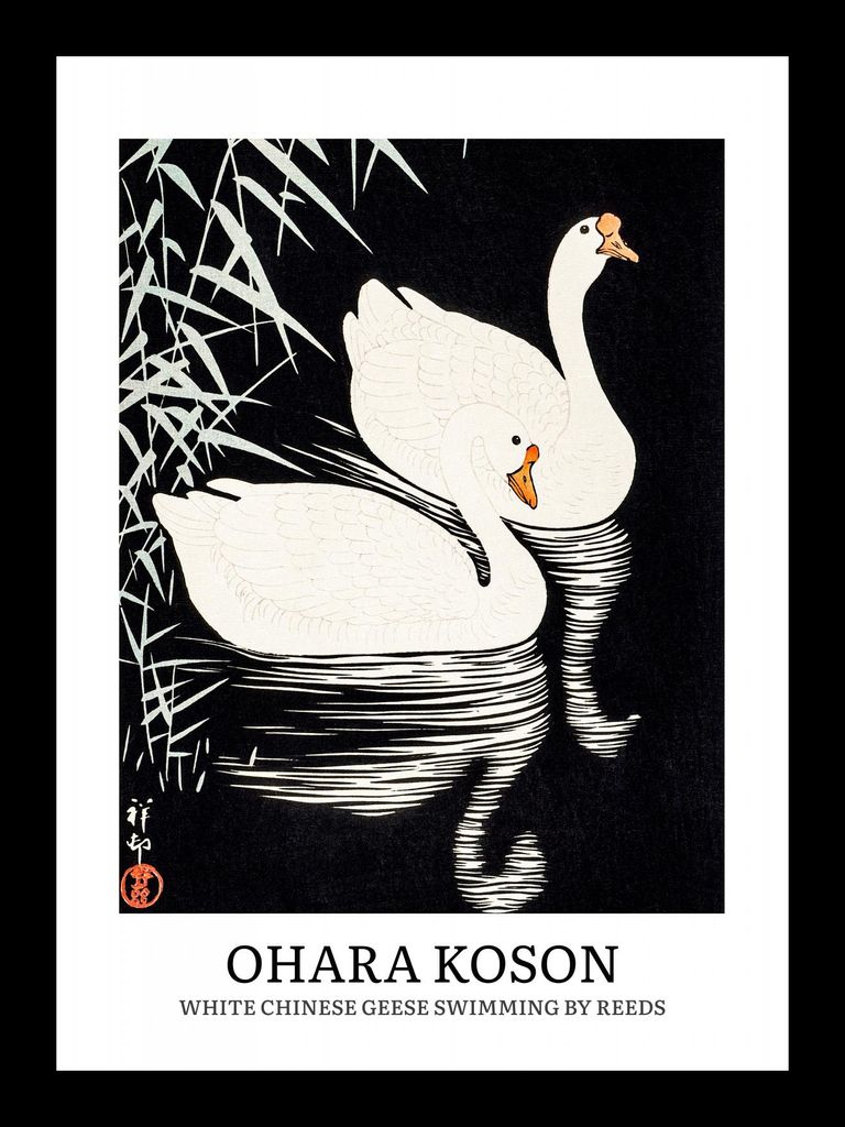 Plakat 13x18cm Design Gänse, Koson Vintage für das Wohnzimmer