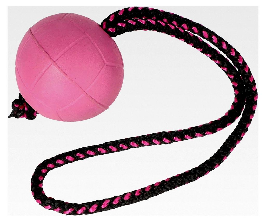 Dingo Bäll BIBI für Training mit Griff 30 cm Farbe Beere schwimmend Kautschuk Gummi Apportierspielzeug für Hunde