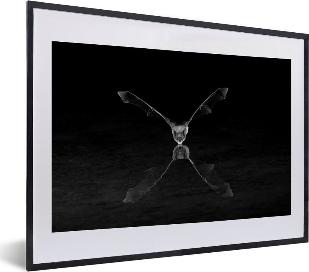 MuchoWow® Gerahmtes Poster Trinkende Fledermaus - schwarz Produktbild 
