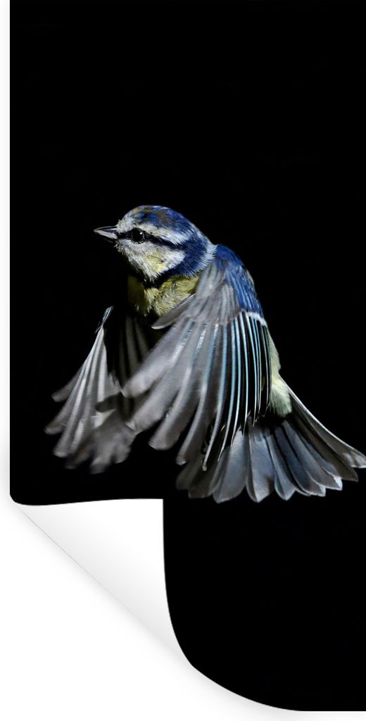 MuchoWow Wandtattoo Wandsticker Wandaufkleber Vögel - Federn - Schwarz 60x120 cm Selbstklebend und Repositionierbar - Selbstklebend - Fototapeten