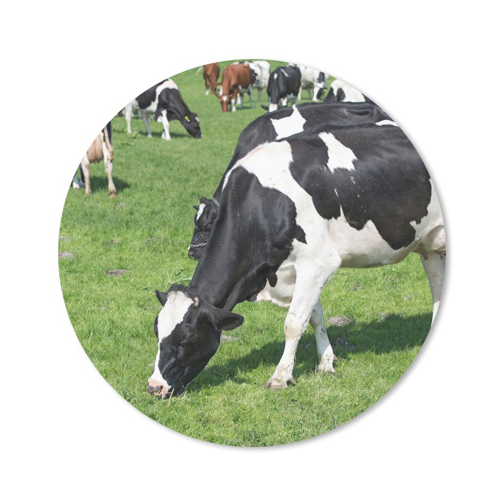 MuchoWow Mauspad Mousepad Kuh - Tiere - Gras - Sonne 30x30 cm - Mousepads - Maus Mat - Pad - Mausunterlage - Tischunterlage - Schreibtischmatten