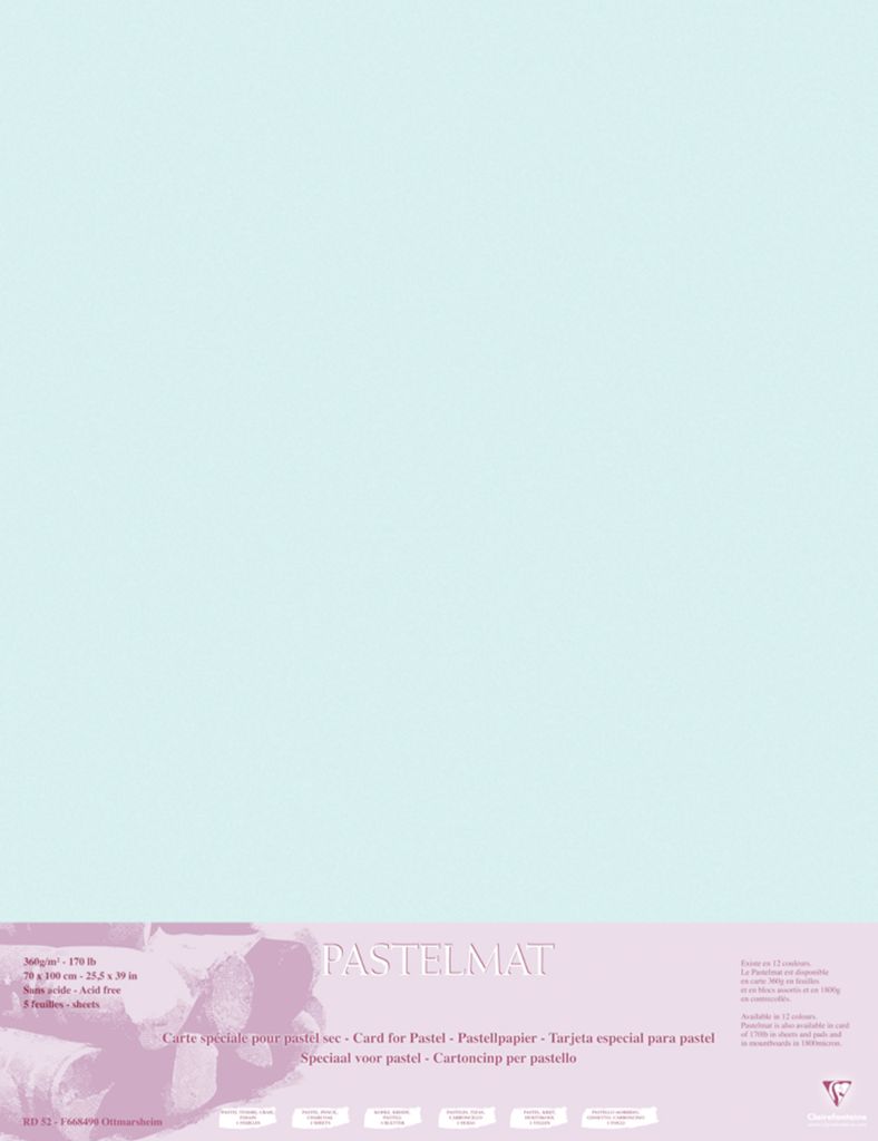 Clairefontaine Pastelmat Pastellmalerei, 5 Bogen 70x100 cm, 360g Hellblau 96160C