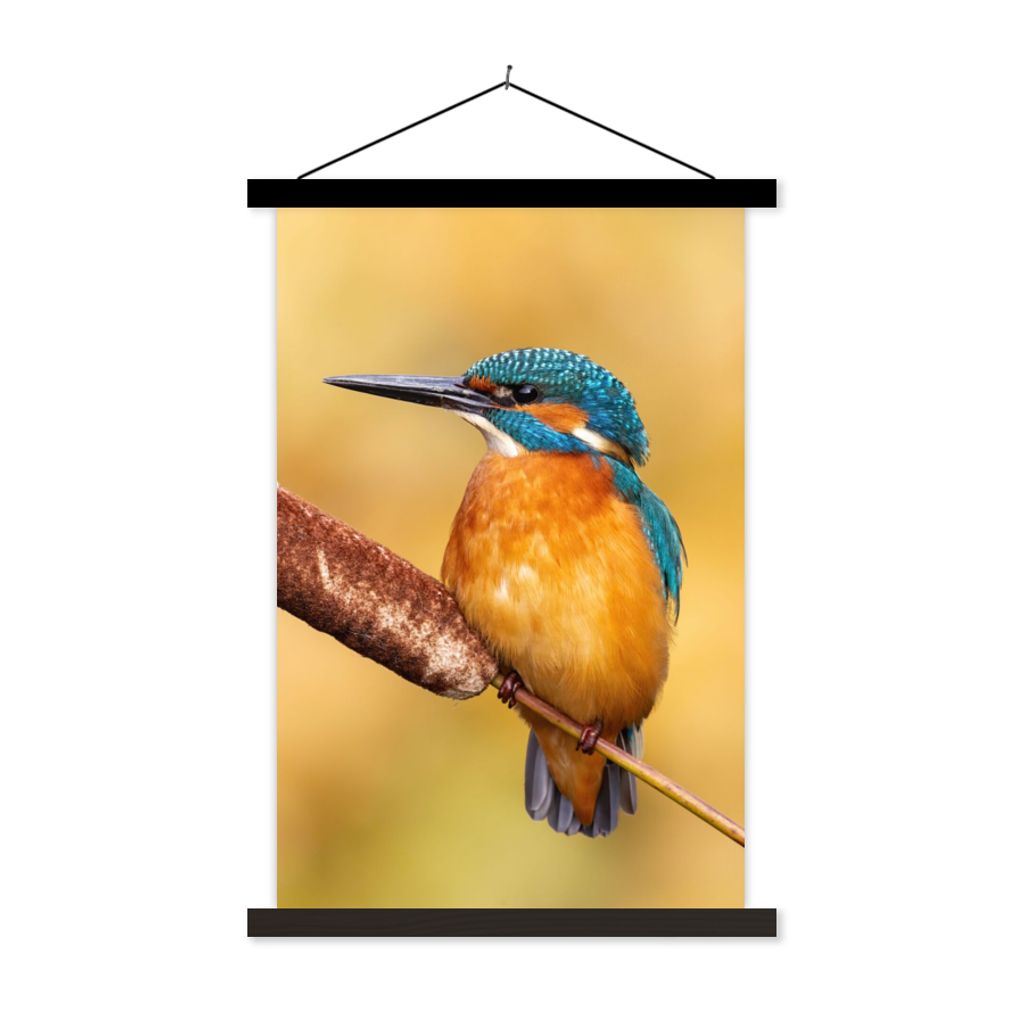 MuchoWow Textilposter Eisvogel - Natur - Vogel 40x60 cm mit schwarzem Rahmen - Wanddekorationen