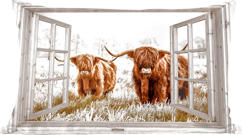 MuchoWow Zierkissen Sofakissen Wohnzimmer Dekokissen 60x40 cm Durchblick - Schottische Hochlandrind - Tiere - Kopfkissen - Polster mit Foto