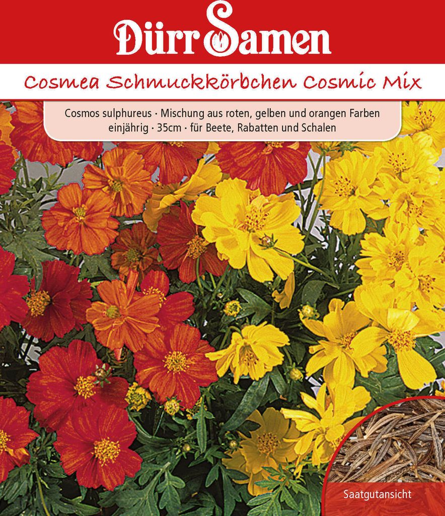 Cosmea Cosmic Mix | Cosmeasamen von Dürr Samen Produktbild 