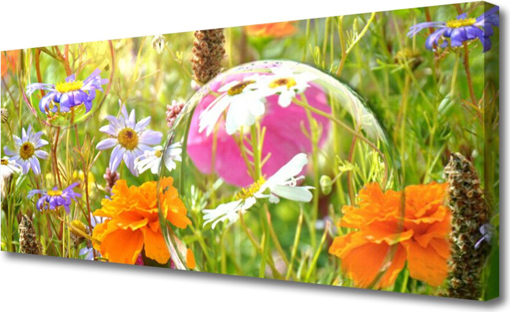 Tulup Leinwand-Bilder 125x50 Wandbild Canvas Kunstdruck Blumen Natur