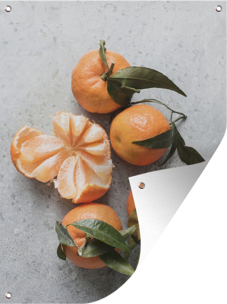 MuchoWow 30x40 cm Outdoor-Poster Gartendeko Sichtschutz Garten Poster für den Garten Mandarine - Zweig - Blätter