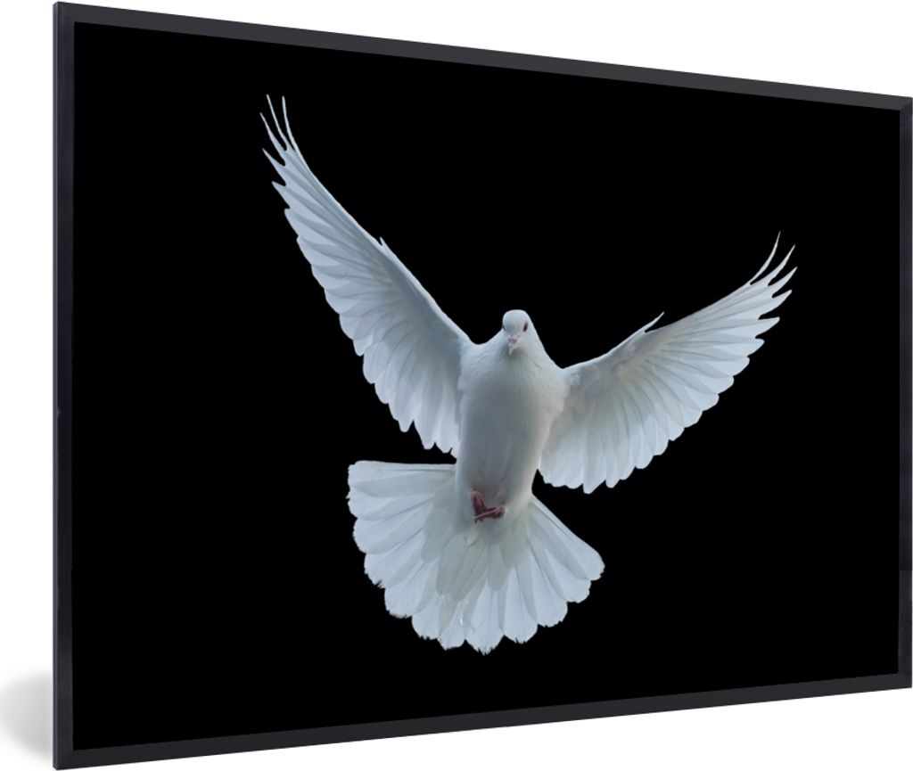 MuchoWow Gerahmtes Poster Taube - Vogel - Schwarz - Weiß - Porträt 90x60 cm - Poster mit Schwarzem Bilderrahmen Wandposter Rahmen Foto Bilder -...