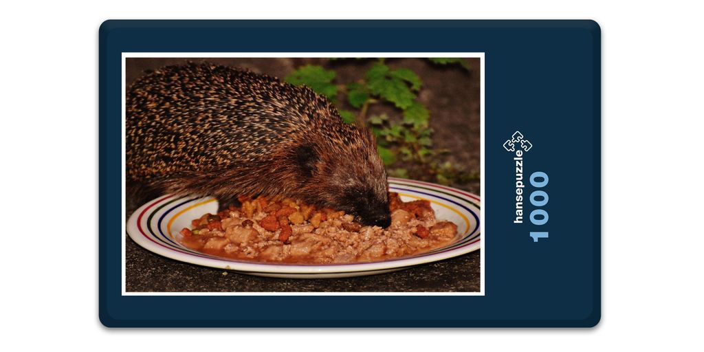 hansepuzzle 16579 - Igel im Teller Puzzle, 1000 Teile, Tierwelt, 60,0 x 46,0cm mit hochwertiger Aufbewahrung, Kartonbox & Beutel