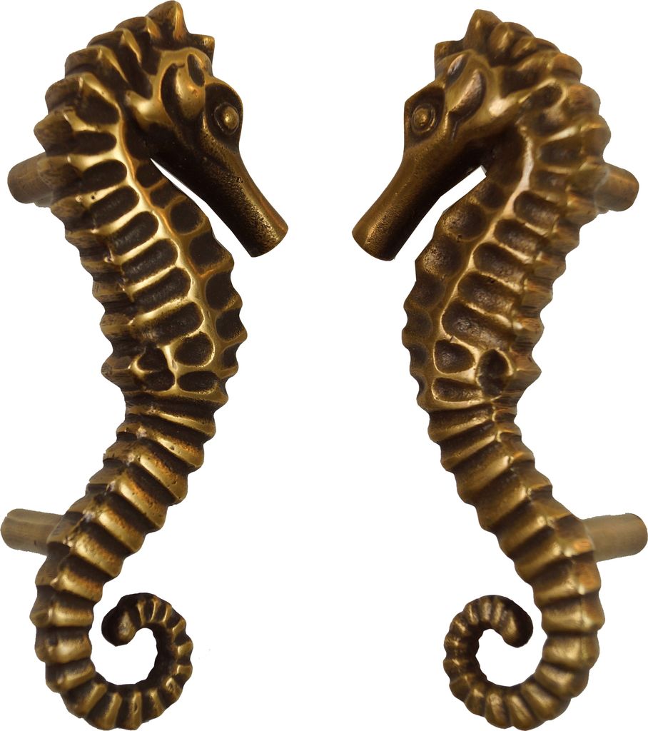 Paar Massiver Türgriffe Seepferdchen aus Messing, Gold, 14*6*5 cm, Möbelgriffe & Beschläge