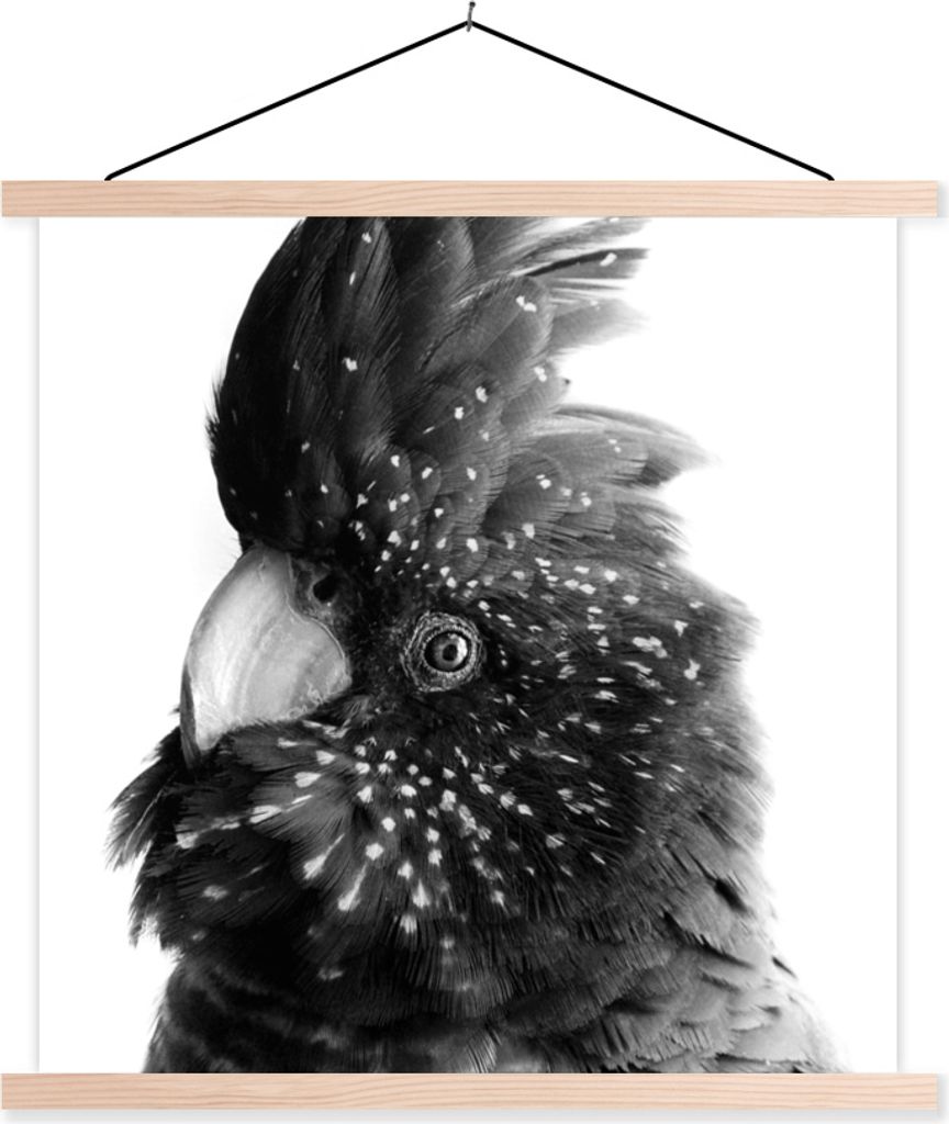 MuchoWow Textilposter Nahaufnahme eines Kakadus vor einem rosa Hintergrund - schwarz und weiß 60x60 cm mit holzfarbenen Rahmen - Wanddekoration