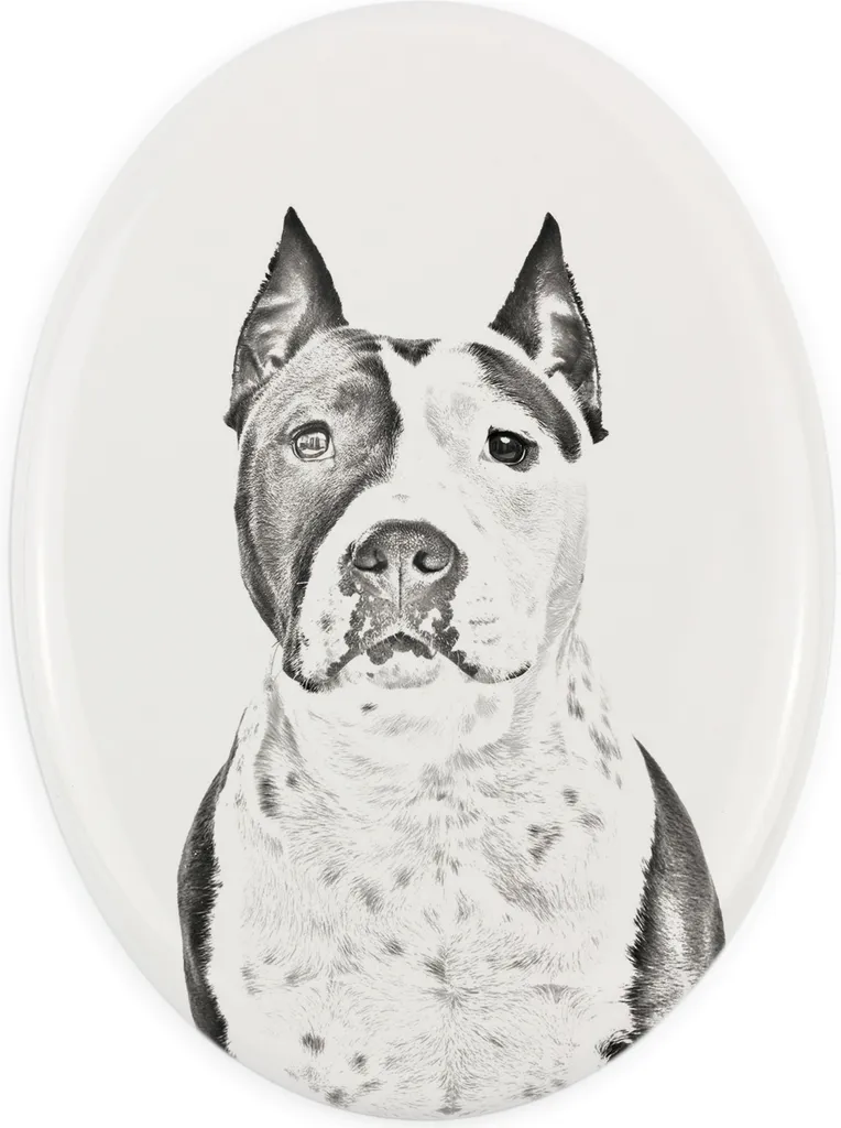 Art-Dog Targa Commemorativa Amstaff | Lapide Personalizzabile per Cani