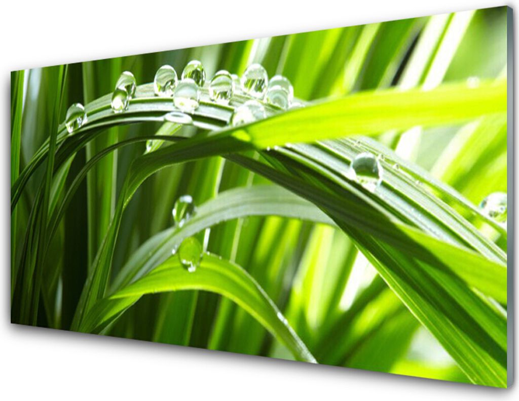 Acrylglasbilder 100x50 Wandbild Druck Gras Wassertropfen Natur