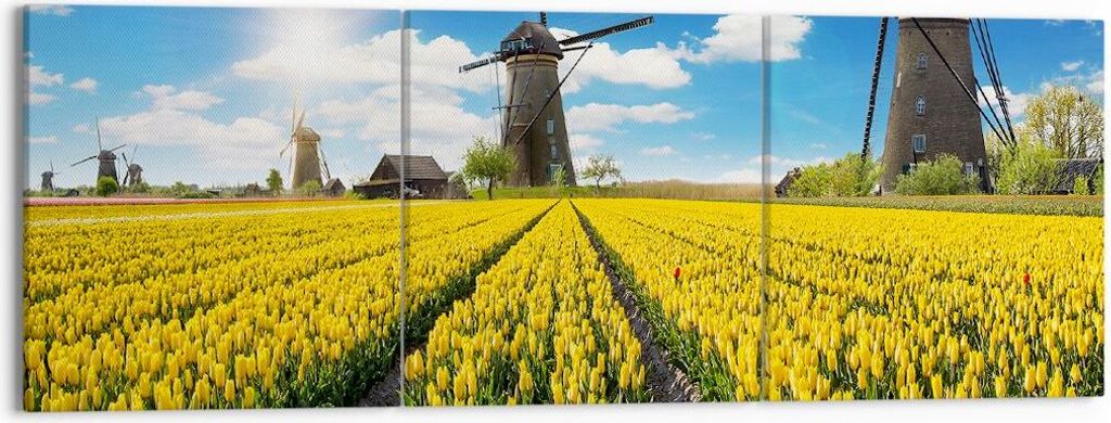 Bild auf Leinwand - Leinwandbild - Tulpen Windmühle Wiese Landschaft - 150x50cm - Wand Bild - Wanddeko - Leinwanddruck - Bilder - Kunstdruck - Lei...