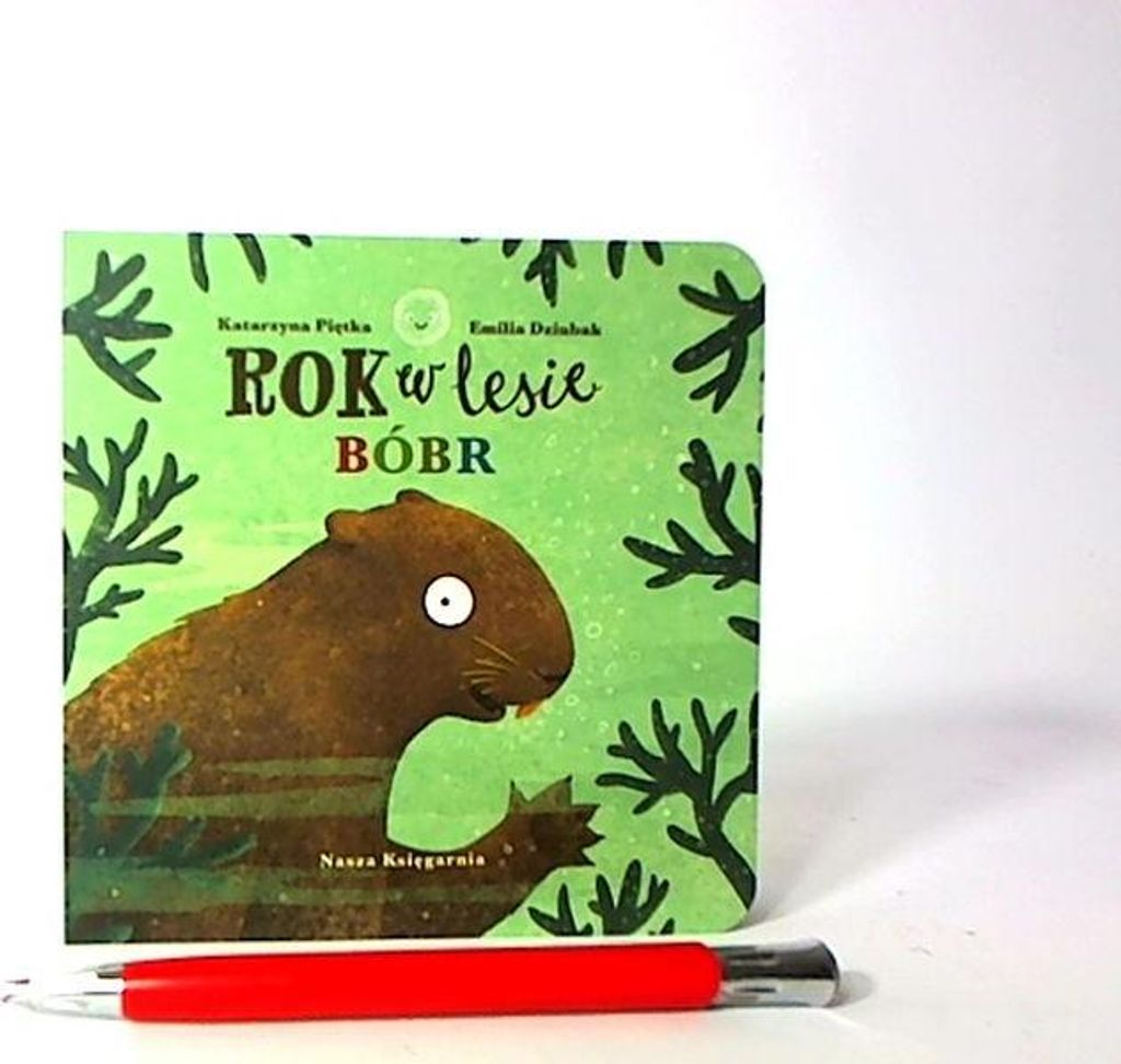 Jahr im Wald Biber 36404