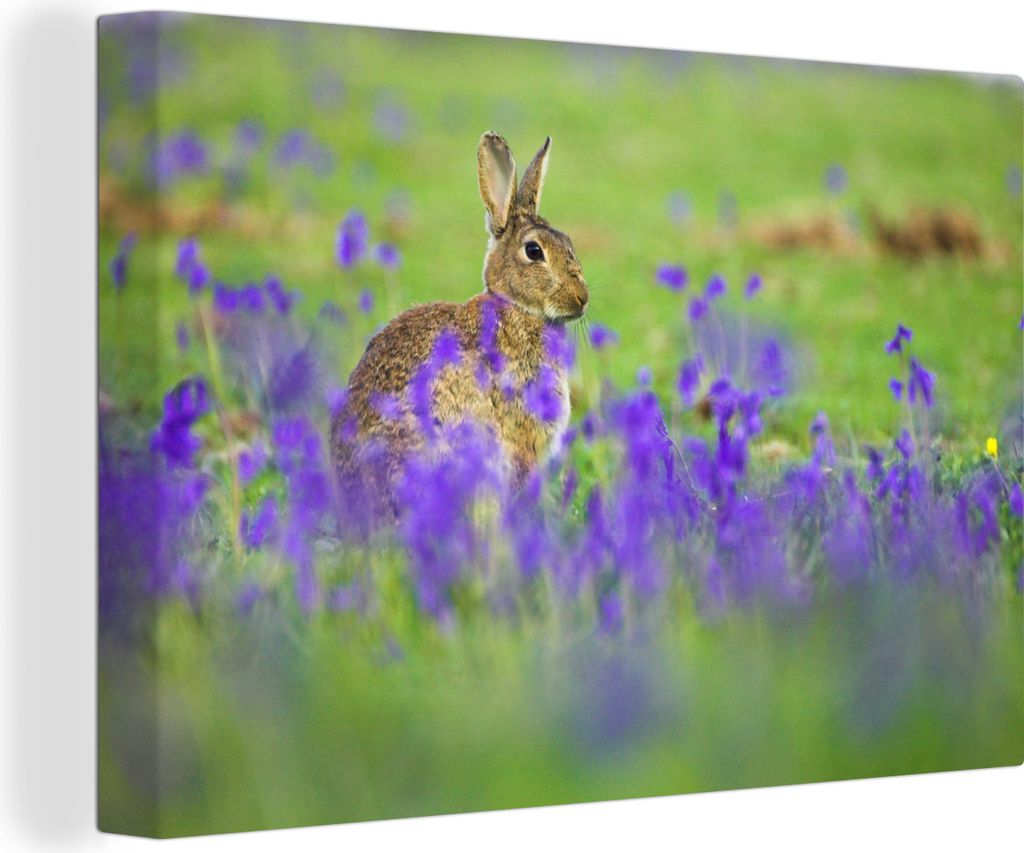 OneMillionCanvasses - Leinwandbilder - 150x100 cm, Verschwommene Sternhyazinthen mit einem Kaninchen in der Mitte, Wandbilder Kunstdruck Wanddeko...