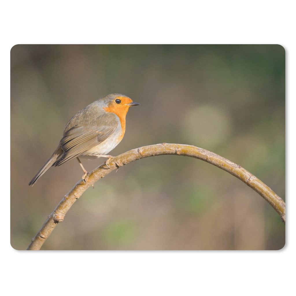 MuchoWow Mauspad Mousepad Rotkehlchen - Vogel - Natur 23x19 cm - Mousepads - Maus Mat - Pad - Mausunterlage - Schreibtischunterlage - Mauspad